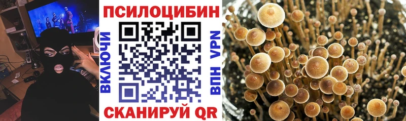 Псилоцибиновые грибы GOLDEN TEACHER  Отрадное 